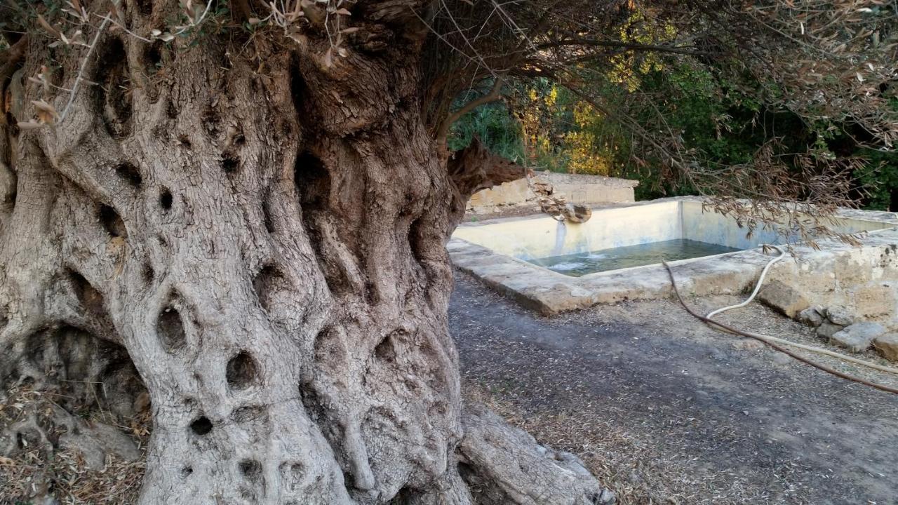 La Villa Di Minerva Agrigento Bagian luar foto