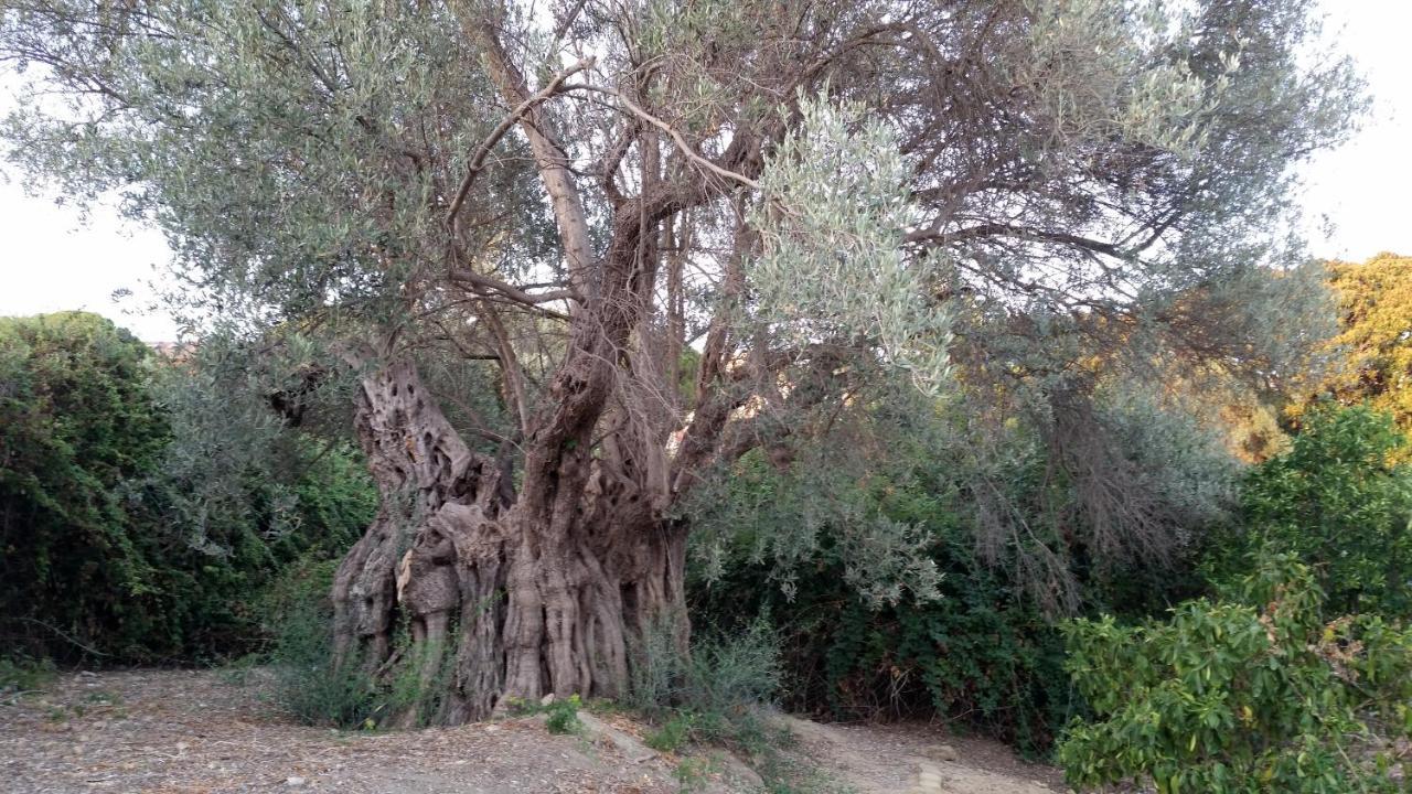 La Villa Di Minerva Agrigento Bagian luar foto